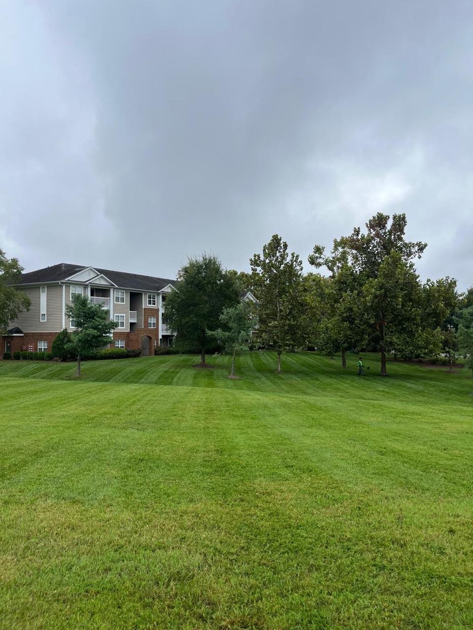 Alex's Lawn Care Work 1