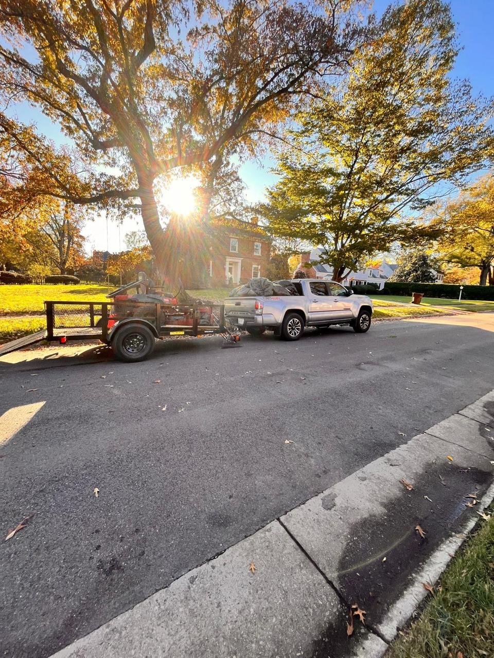 Alex's Lawn Care Work 12